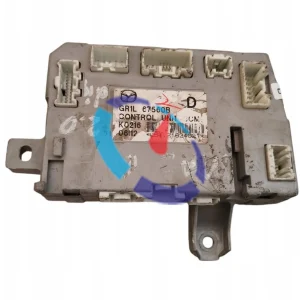 6 (GG/GY) Zentralelektrik (BCM)