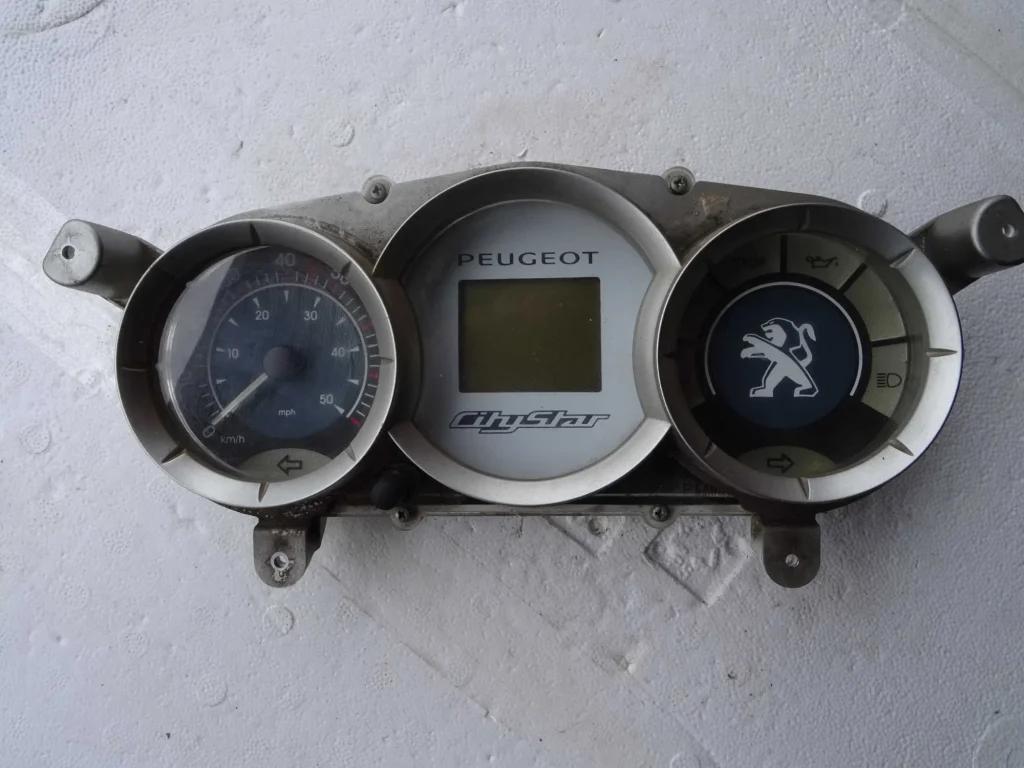 Reparatur Peugeot Citystar Kombiinstrument (Tacho Reparatur)